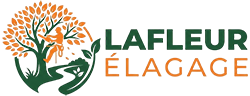 elagage-lafleur-elagage